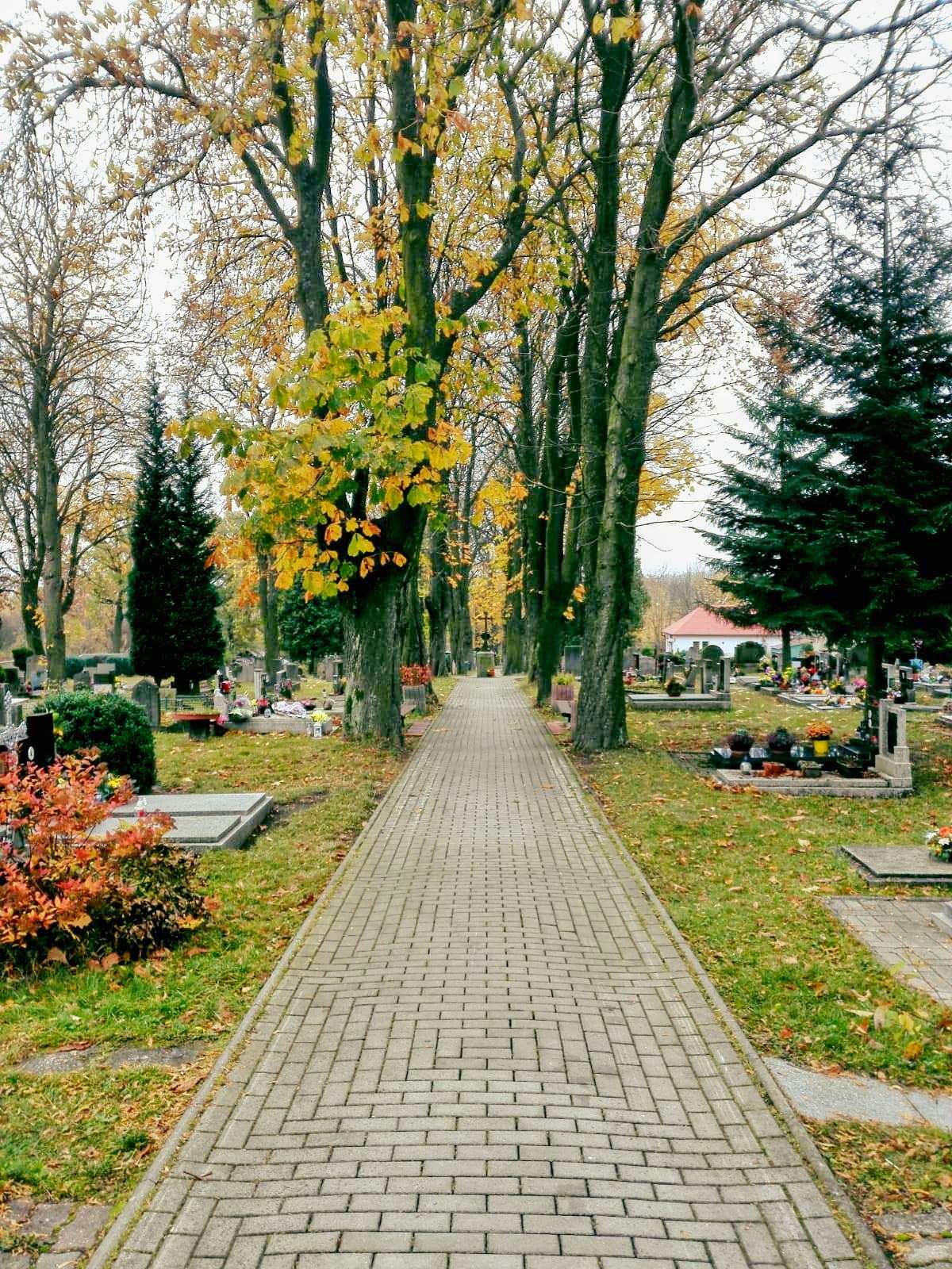 pohled na pohřebiště habartov